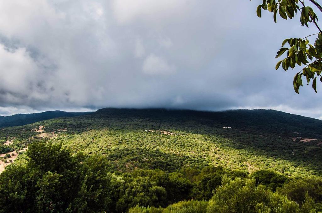 Mirador De Mulera Villa Ubrique Eksteriør bilde